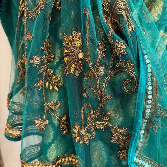 Frontier Green and Gold Saree with hand embroidery - Picture 7 of 17